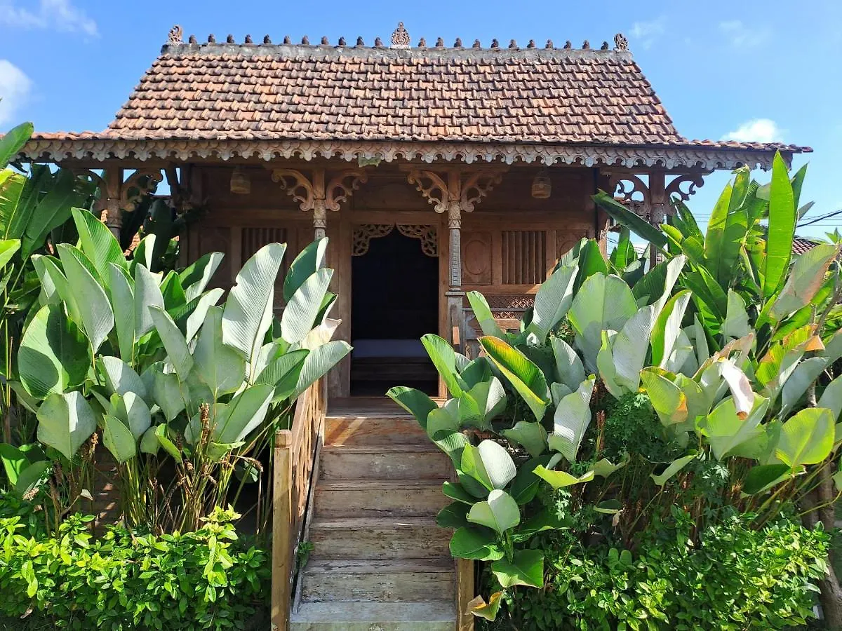 Xxl Villa Seminyak - Man Only Holiday park Seminyak (Bali)